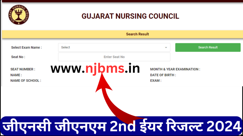 GNC GNM 2nd Year Result 2024