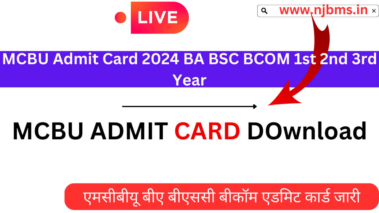 MCBU Admit Card 2024